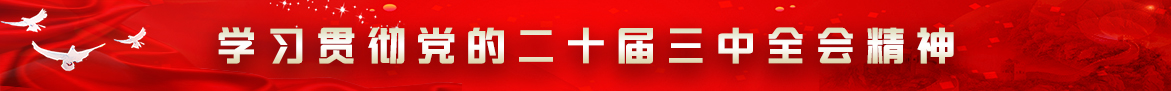 學習貫徹黨的二十屆三中全會精神